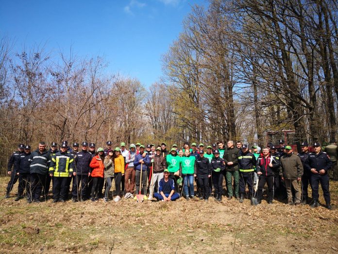 Elevii Liceului Teoretic Odobeşti au plantat arbori la Angheleşti alături de pompieri